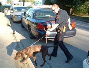 Roshawn begins the search